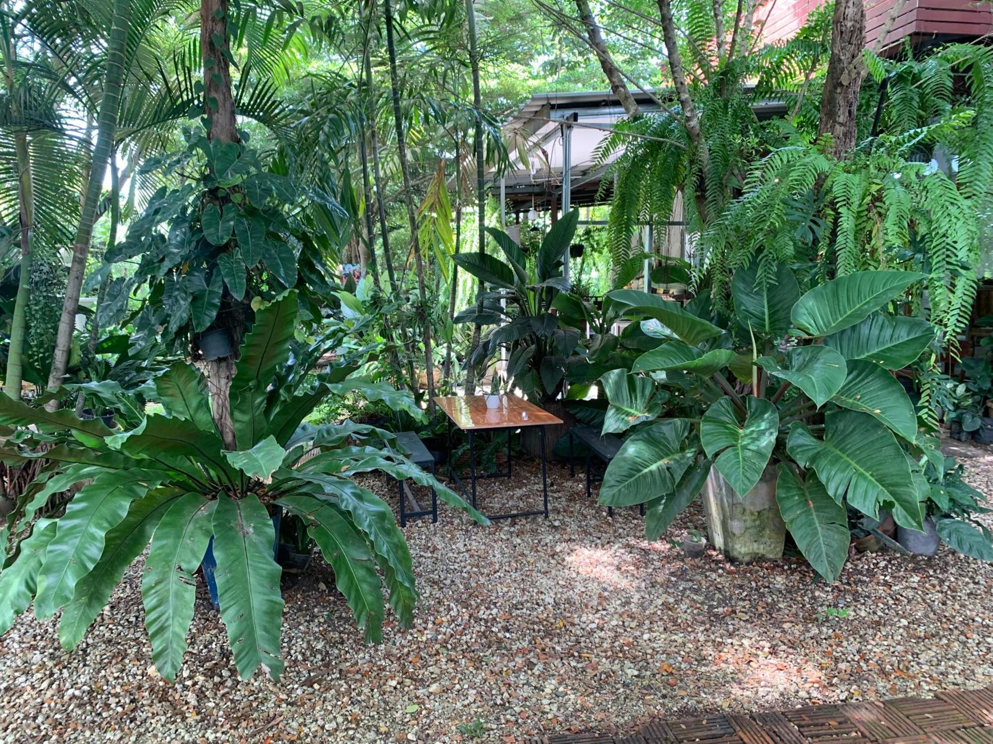 Baan Suan Duang Porn Resort Ban Phae (Lampang) Exterior foto