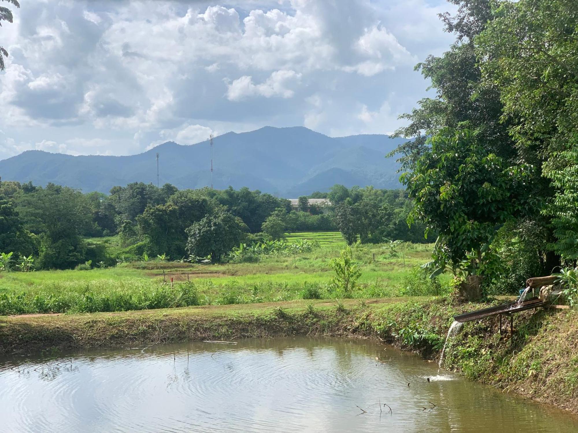 Baan Suan Duang Porn Resort Ban Phae (Lampang) Exterior foto